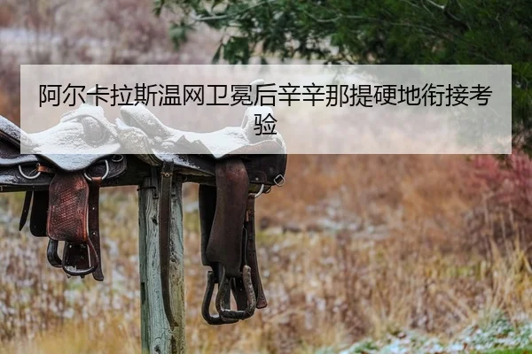 a-er-ka-la-si-wen-wang-wei-mian-hou-xin-xin-na-ti-ying-di-xian-jie-kao-yan-2-506.jpg