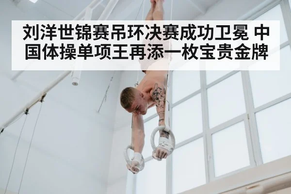 刘洋世锦赛吊环决赛成功卫冕 中国体操单项王再添一枚宝贵金牌